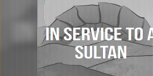Cover image for In Service To A Sultan