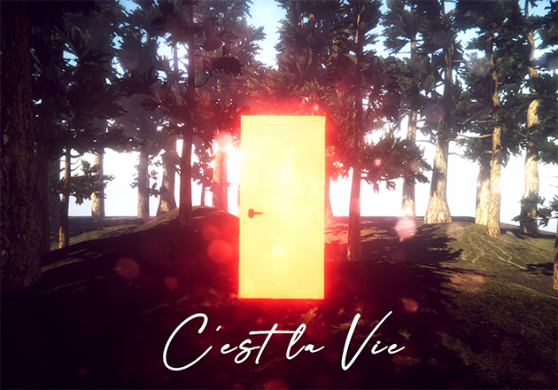 Cover image for C'est la vie