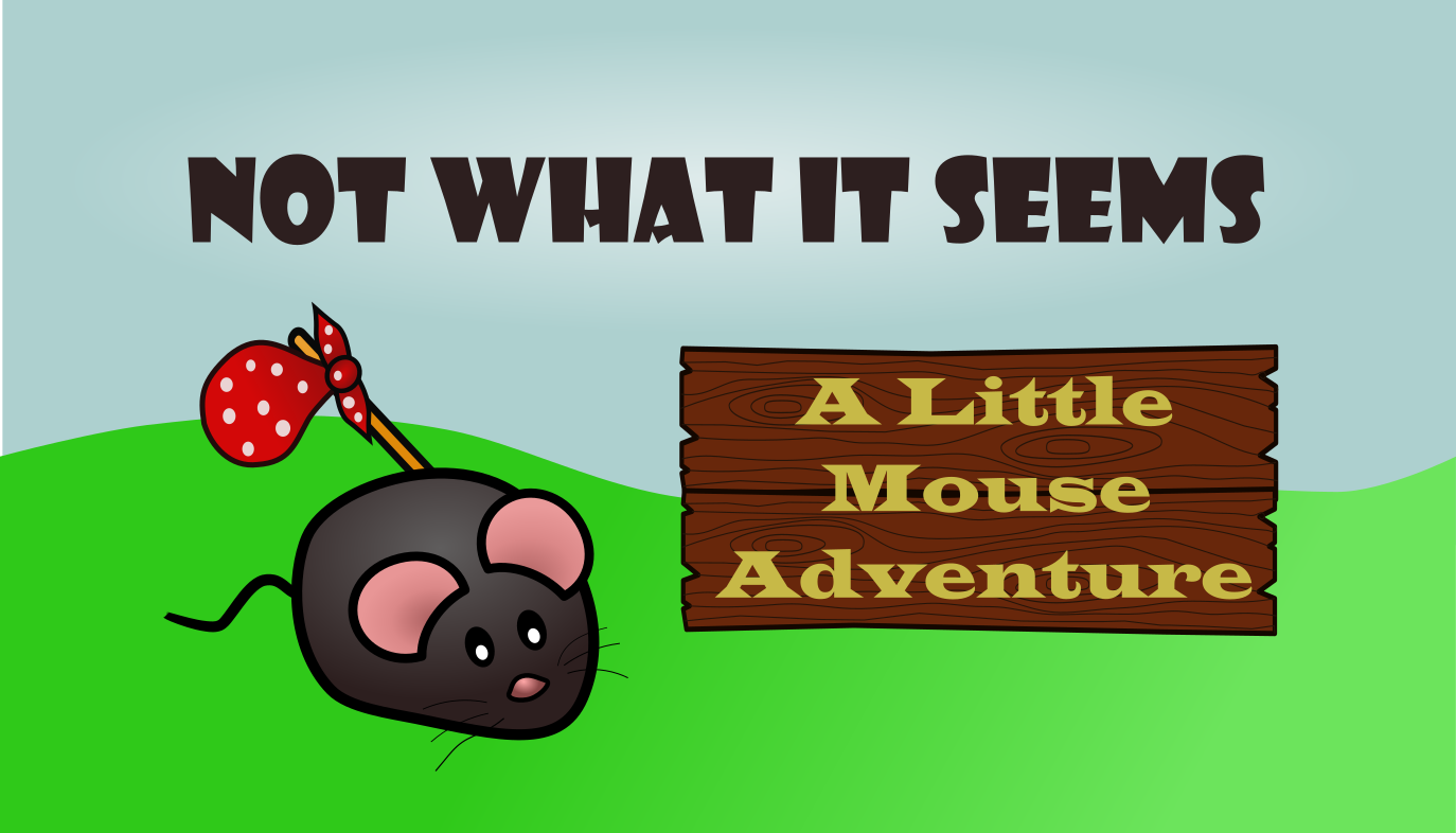Cover image for Not What It Seems