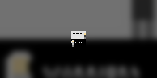 Cover image for Contrast warriors