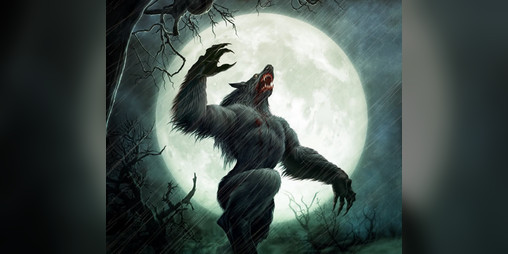 Cover image for Werewolf Night MV