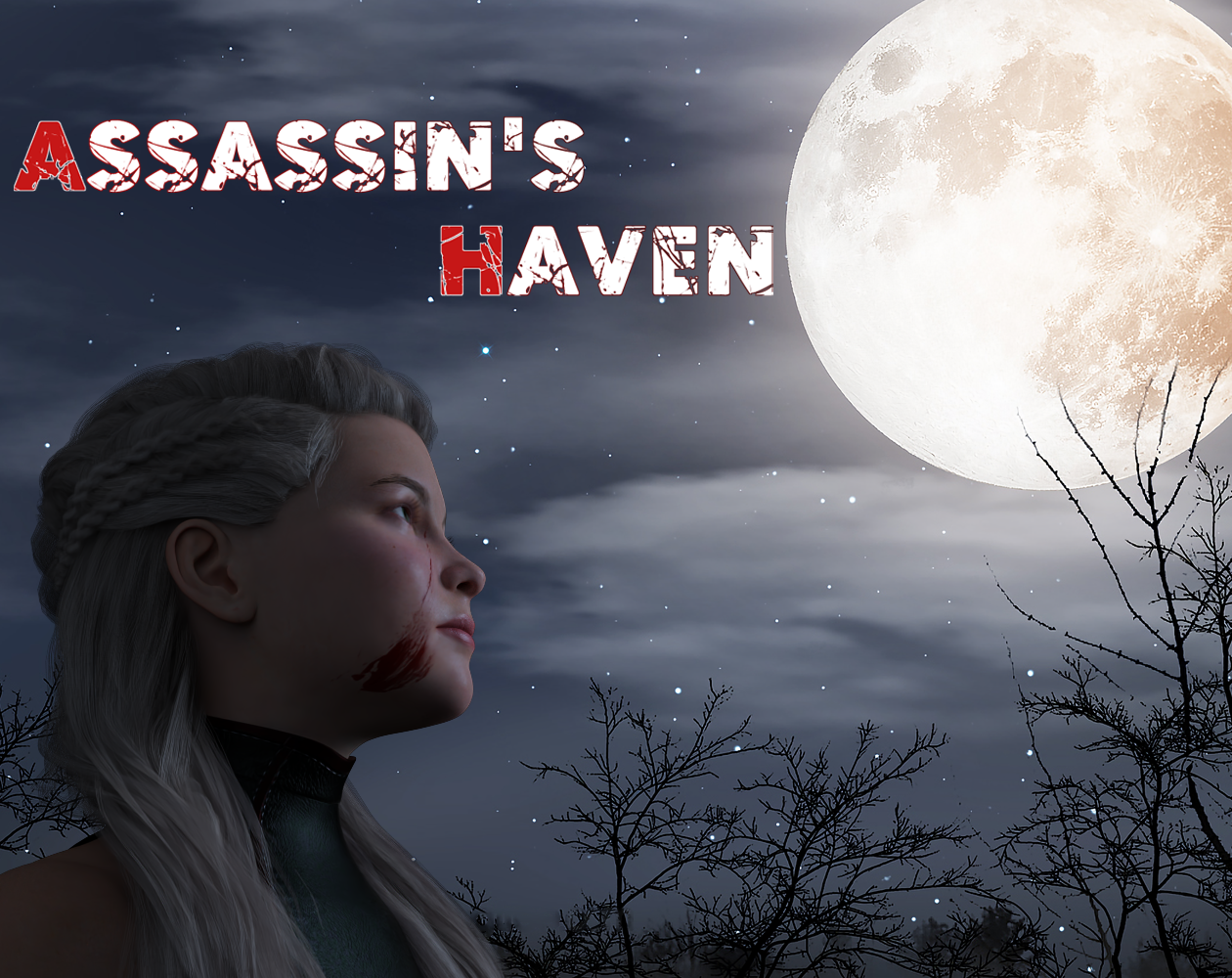 Cover image for Assassin's Haven