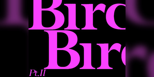Cover image for Obtentus 2: Bird Bird, Pt. II