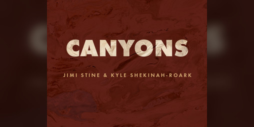 Cover image for Canyons