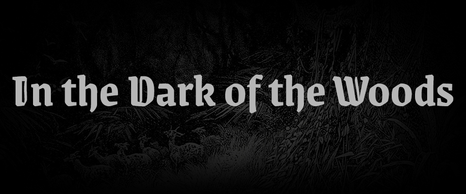 In the Dark of the Woods
