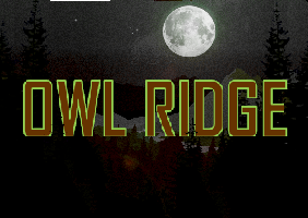 Cover image for Owl Ridge