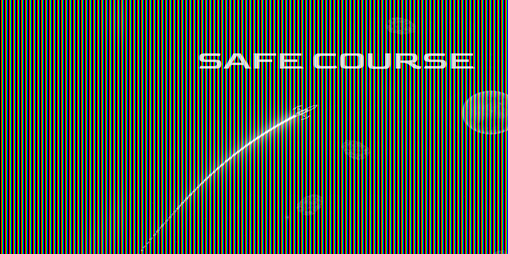 Cover image for Safe Course 2020