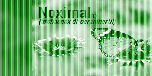Cover image for NoximalⓇ (archaenox di-peranmortil)