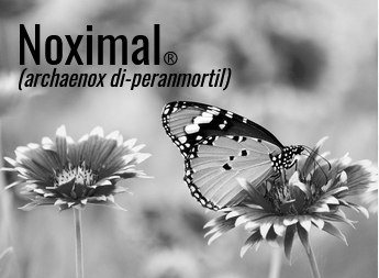 Cover image for NoximalⓇ (archaenox di-peranmortil)
