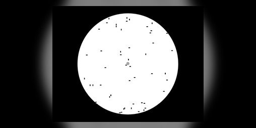 Cover image for Microscopia