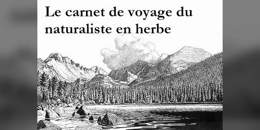 Cover image for Le carnet de voyage du naturaliste en herbe