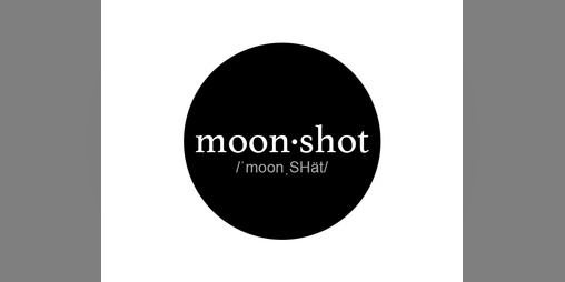 Cover image for moon·shot