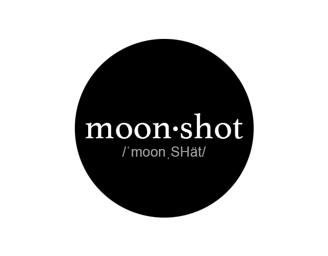 Cover image for moon·shot