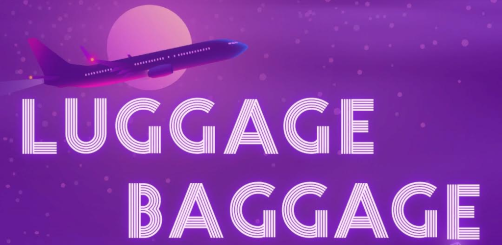 Luggage Baggage