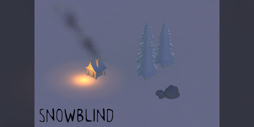 Cover image for Snowblind