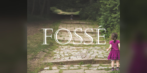 Cover image for Fossé