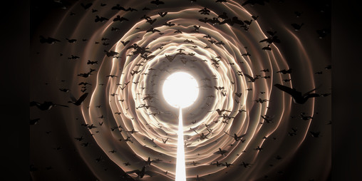 Cover image for Endless Flight