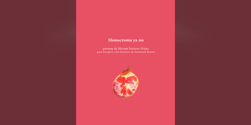 Cover image for Monocroma ya no