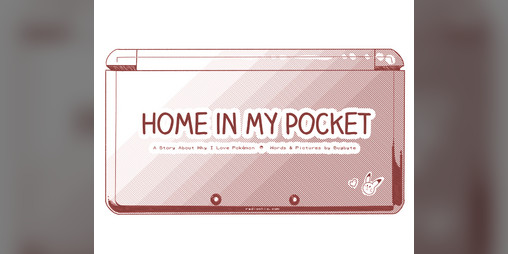 Cover image for Home In My Pocket