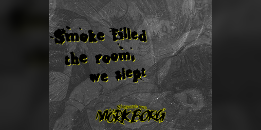 Cover image for Smoke Filled The Room