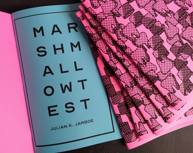 Cover image for Marshmallow Test