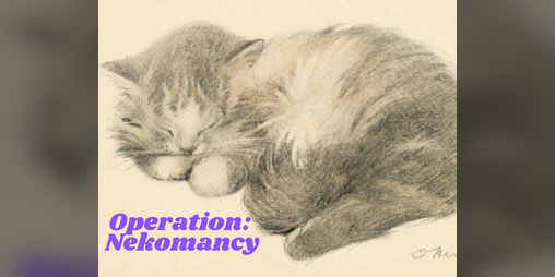 Cover image for Operation: Nekomancy