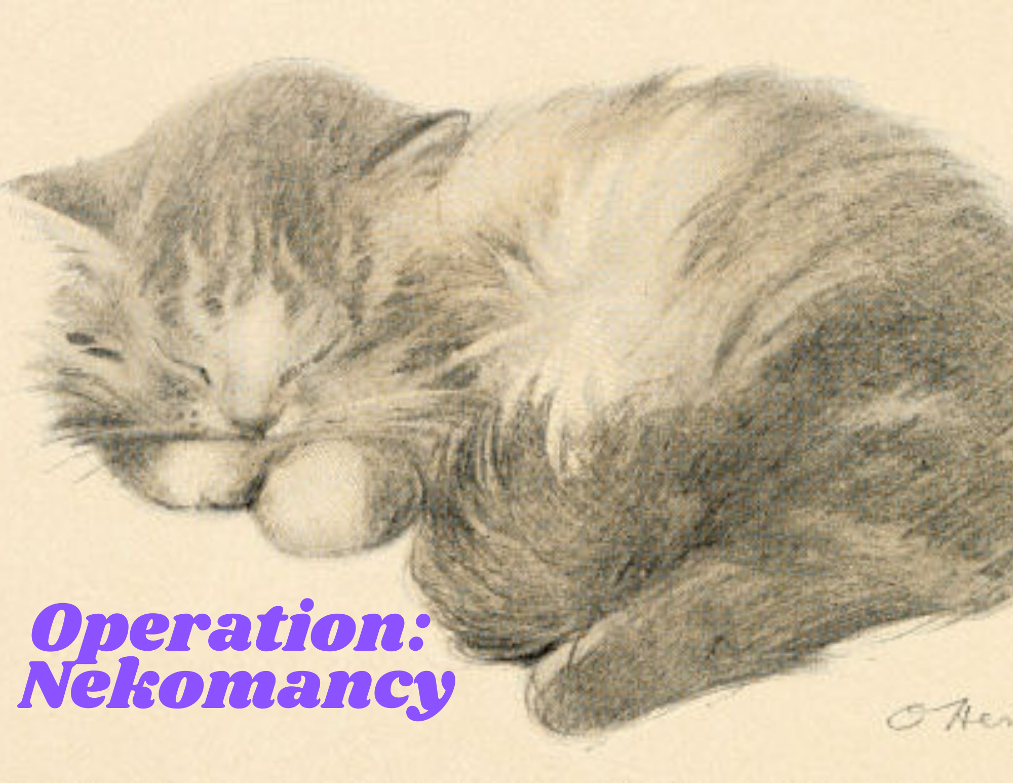 Cover image for Operation: Nekomancy
