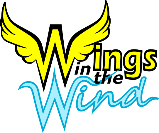 2020.02/ProjetoIV/Wings in the Wind