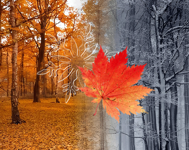 Cover image for Cozy Scenes