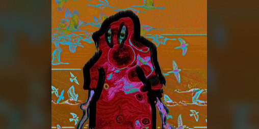 Cover image for The Sanctuary of Lost Birds