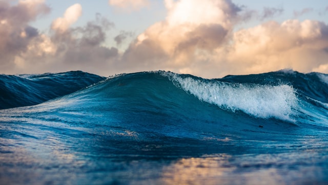 Cover image for To The Sea Again