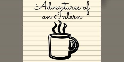 Cover image for The Adventures of an Intern