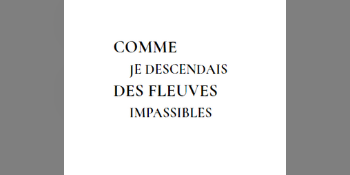 Cover image for Comme je descendais des Fleuves impassibles