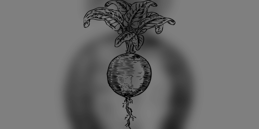 Cover image for Ingredients in the Dark Pantry: A System-Agnostic Food Supplement