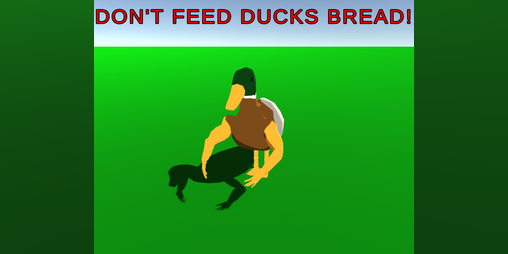 Cover image for Don't Feed Ducks Bread