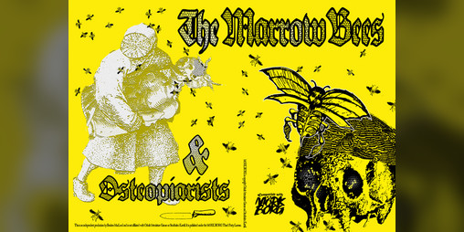 Cover image for The Marrow Bees & Osteopiarists