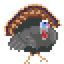 Turkey Hunt