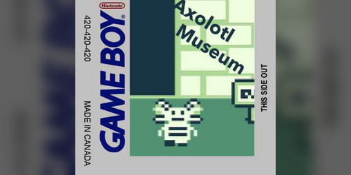 Cover image for Axolotl Museum