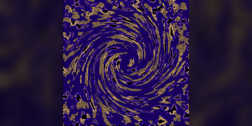 Cover image for Quarantena Eng Version