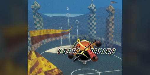 Cover image for Voltaflying