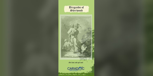 Cover image for Brigands of Sherwood
