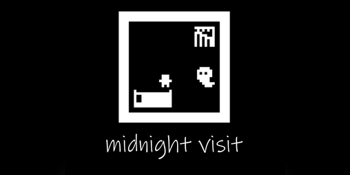 Cover image for Midnight Visit