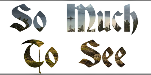 Cover image for So Much To See