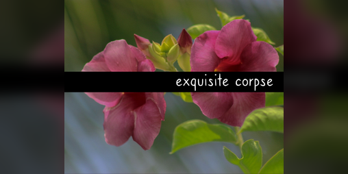 Cover image for exquisite corpse