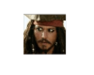 Survive The Pirates