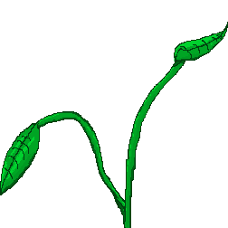 bsimpson_Finalproject_12012020