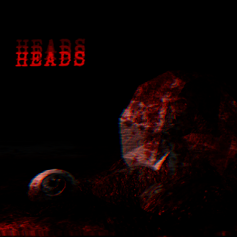 Cover image for HEADS