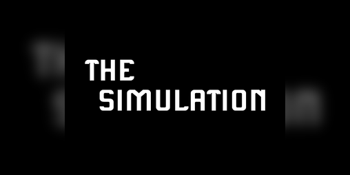Cover image for The simulation