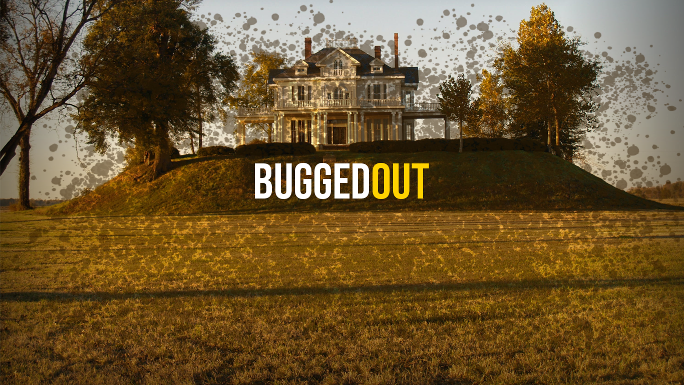 Bugged Out!
