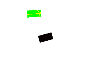 race runer